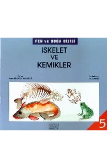 İskelet ve Kemikler