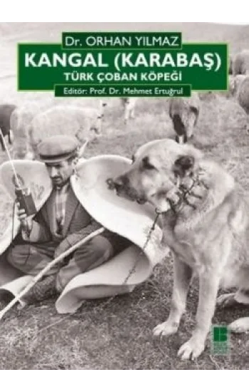 Kangal (Karabaş) Türk Çoban Köpeği