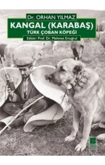 Kangal (Karabaş) Türk Çoban Köpeği