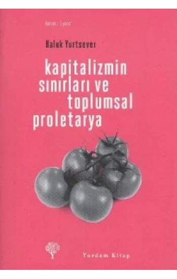 Kapitalizmin Sınırları ve Toplumsal Proletarya