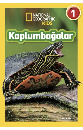 Kaplumbağalar - National Geographic Kids