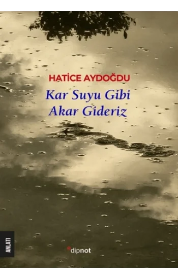 Kar Suyu Gibi Akar Gideriz