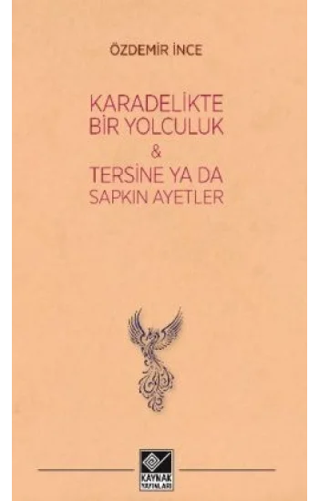 Kara Delikte Bir Yolculuk ve Tersine ya da Sapkın Ayetler