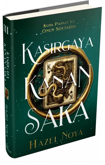 Kasırgaya Kanan Saka 3 - Ciltli