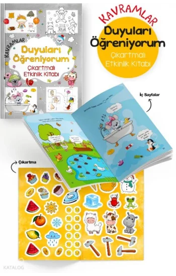 Kavramlar - Duyuları Öğreniyorum