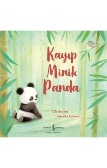Kayıp Minik Panda