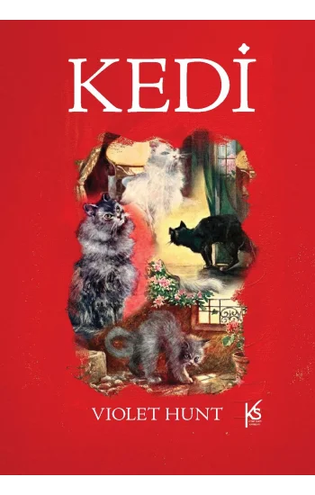 Kedi