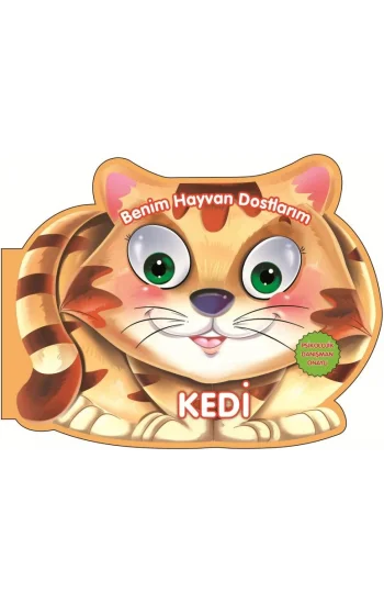 Kedi - Benim Hayvan Dostlarım (Ciltli)