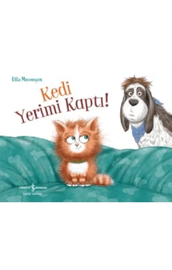 Kedi Yerimi Kaptı!