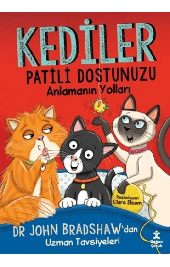Kediler - Patili Dostunuzu Anlamanın Yolları