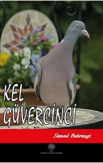 Kel Güvercinci
