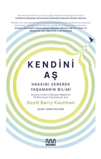 Kendini Aş