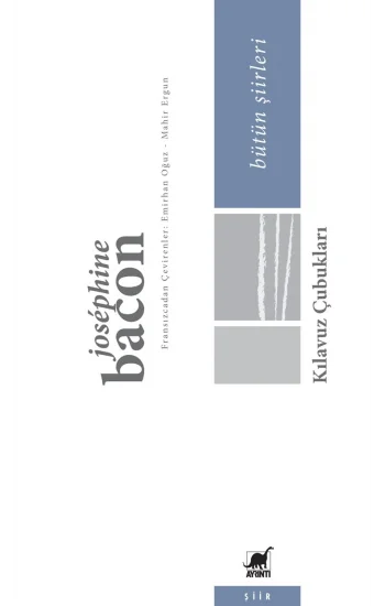 Kılavuz Çubukları