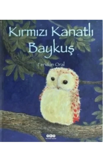 Kırmızı Kanatlı Baykuş