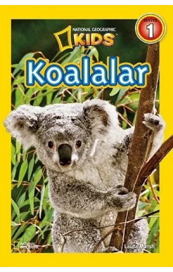 Koalalar