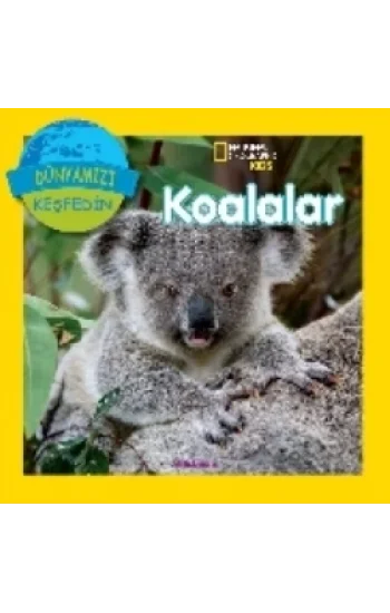 Koalalar