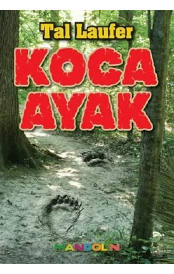 Koca Ayak