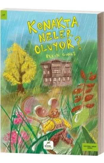 Konakta Neler Oluyor?