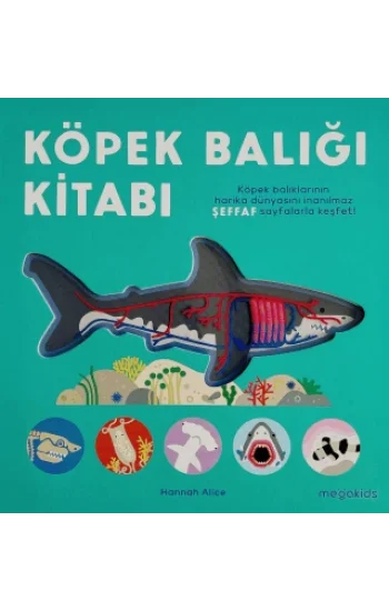 Köpek Balığı Kitabı (Ciltli)