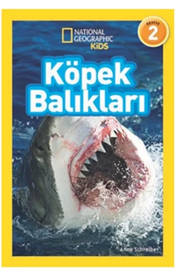 Köpek Balıkları