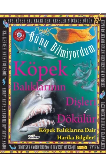 Köpek Balıklarının Dişleri Dökülür - Bunu Bilmiyordum - Köpek Balıklarına Dair Harika Bilgiler!