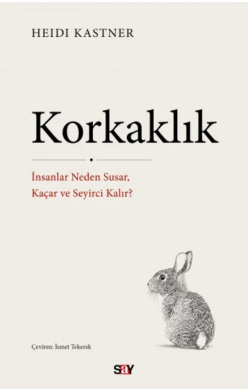 Korkaklık