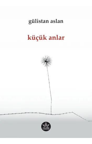 Küçük Anlar