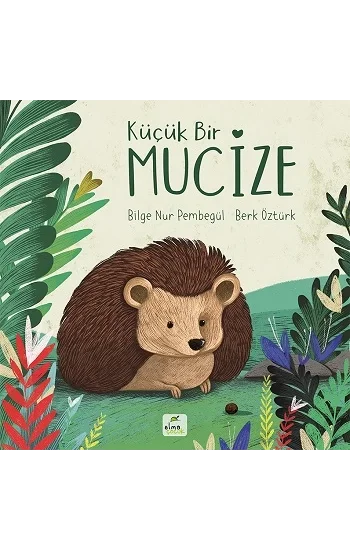 Küçük Bir Mucize