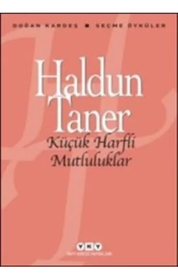 Küçük Harfli Mutluluklar