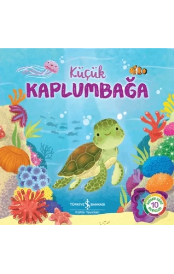 Küçük Kaplumbağa