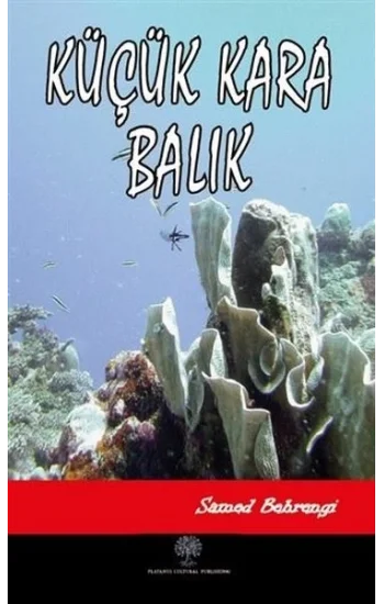 Küçük Kara Balık