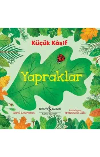 Küçük Kaşif - Yapraklar