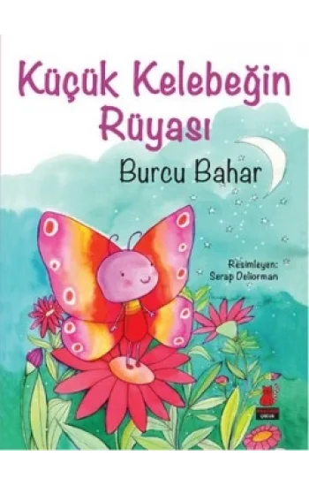 Küçük Kelebeğin Rüyası