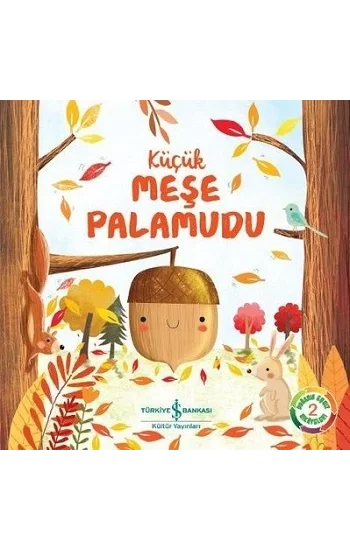 Küçük Meşe Palamudu