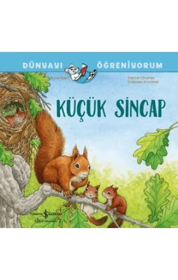 Küçük Sincap Dünyayı Öğreniyorum