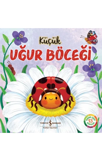 Küçük Uğur Böceği