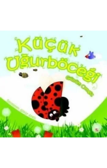 Küçük Uğurböceği