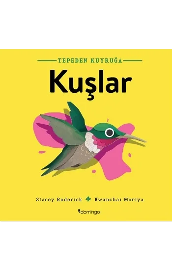 Kuşlar- Tepeden Kuyruğa