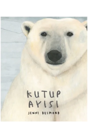 Kutup Ayısı