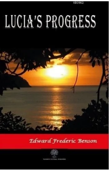 Lucias Progress