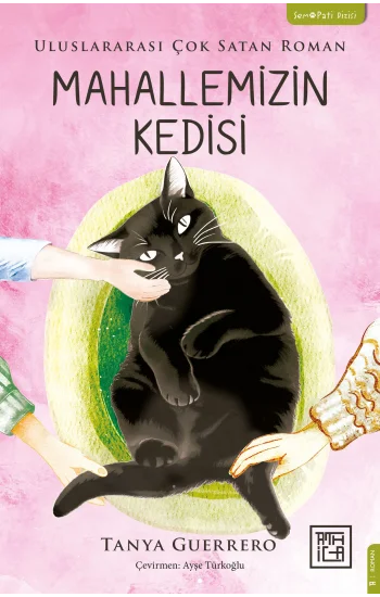 Mahallemizin Kedisi