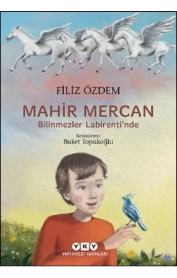Mahir Mercan - Bilinmezler Labirentinde