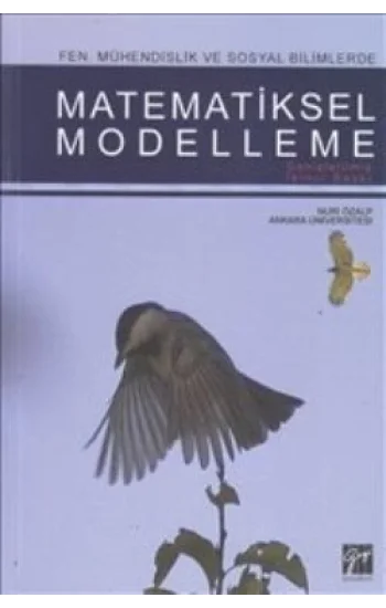 Matematiksel Modelleme