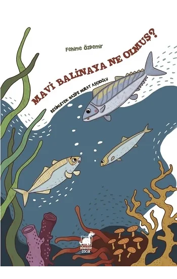 Mavi Balinaya Ne Olmuş