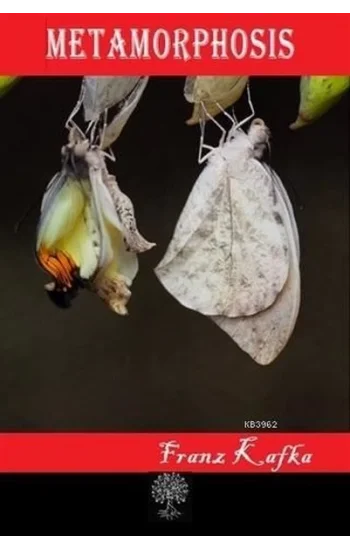 Metamorphosis