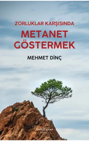 Metanet Göstermek