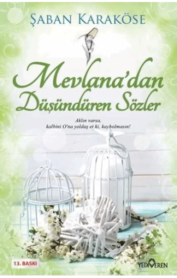 Mevlanadan Düşündüren Sözler