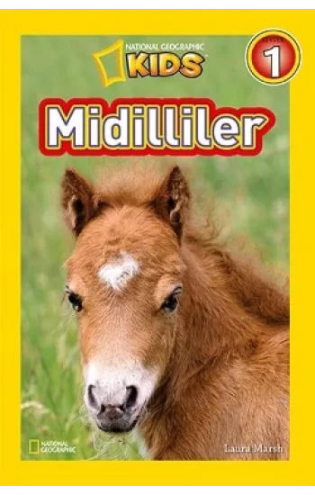 Midilliler