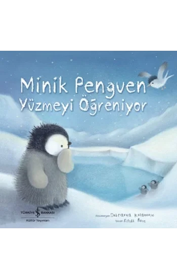 Minik Penguen Yüzmeyi Öğreniyor