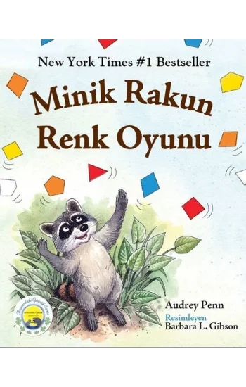 Minik Rakun Renk Oyunu